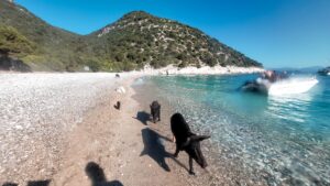 Read more about the article Atokos Island Greece