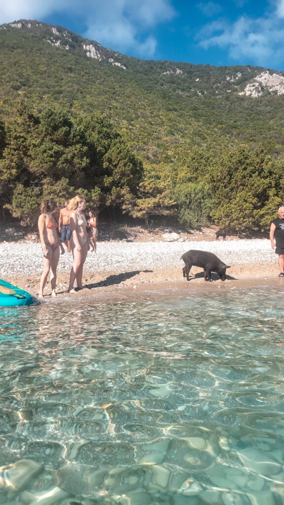 People enjoying Wild Boars at the sore for the Atokos Island