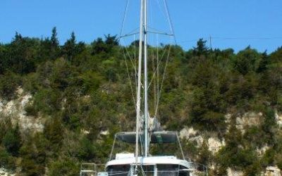 Bali Catspace-SELENE35